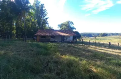 Fazenda à venda na Zona Rural, Piratininga 