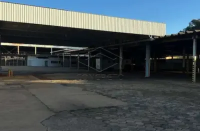 Barracão / Galpão / Depósito para alugar no Jardim Brasil, Bauru 