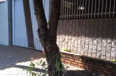 Casa com 3 quartos à venda na Vila Souto, Bauru 