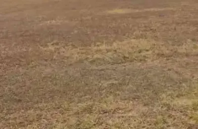 Terreno à venda no Alphaville, Bauru 