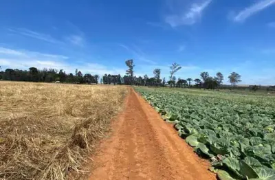 Terreno à venda na Rua Bernardo Guimarães, Colônia Dona LuÍza, Ponta Grossa