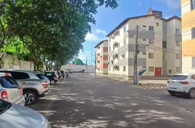 Apartamento com 2 quartos para alugar na Rua Rio Pimenta, P, Olho D'Água, São Luís