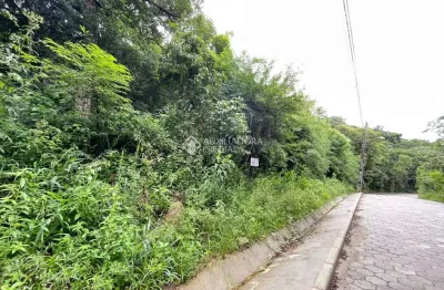 Terreno à venda na estrada rozália paulina ferreira, pântano do sul, florianópolis, 970 m2 por r$ 790.000