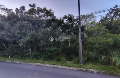 Terreno à venda na rua waldemar figueiró, 63, joão paulo, florianópolis, 1500 m2 por r$ 1.915.000