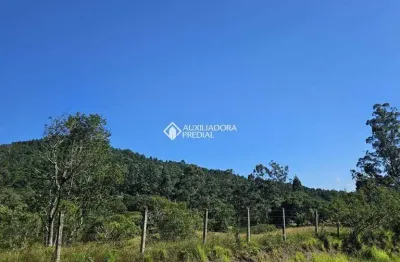Terreno à venda na servidão nelson leopoldo dos santos, 160, vargem grande, florianópolis, 66151 m2 por r$ 3.900.000
