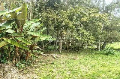 Terreno à venda na servidão da figueira velha, 28, córrego grande, florianópolis, 471 m2 por r$ 480.000