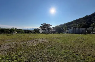 Terreno à venda na rua assis brasil, 6563, ponta de baixo, são josé, 645 m2 por r$ 750.000