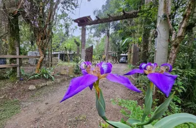 Fazenda à venda na geral vargem do braço, 100, braço são joão, santo amaro da imperatriz, 220 m2 por r$ 450.000