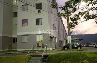 Apartamento com 2 quartos à venda na rua amaro damásio, 41, bom viver, biguaçu, 41 m2 por r$ 224.000