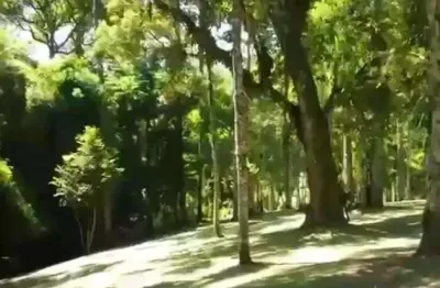 Terreno à venda no Rio Vermelho, Campo Alegre 