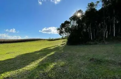 Terreno à venda no Lageado, Campo Alegre 