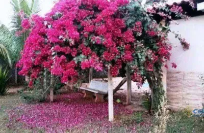 Chácara à venda, 2500 m² por R$ 615.000,00 - Chácaras Mariitas - Uberaba/MG