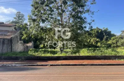 Terreno comercial para alugar na Avenida Tereza Palmeira Gallon, Jardim Itaú, Ribeirão Preto