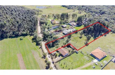 Terreno 10.000m² estrada corredor butiá, próximo escola ares de armas, valor r$ 1.860.000,00 campina grande do sul