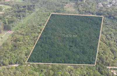 Entre a natureza e a cidade: 72.670 m² para quem enxerga além do óbvio