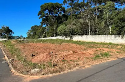 Terreno em condomínio fechado à venda na rua flamingos, 232, gralha azul, fazenda rio grande, 120 m2 por r$ 198.000