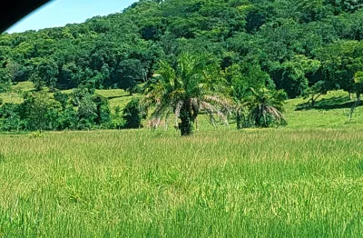 Fazenda a venda em mato grosso municipio de pedra preta., proximo asfalto.