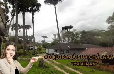 Chácara / sítio com 6 quartos à venda na Jorge Taborda, Roseira, Colombo