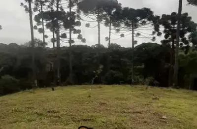 Chácara / sítio à venda no Estiva, Bocaiúva do Sul 