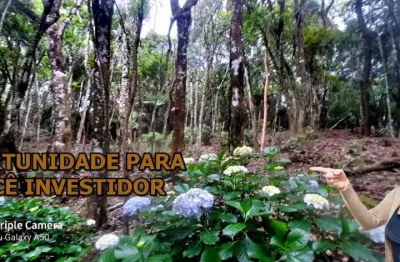 Terreno à venda na Rua Antonio Bruno, Jardim Santo Antônio, Bocaiúva do Sul