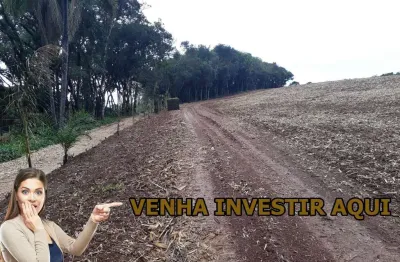 Chácara / sítio à venda na Rua dos Imigrantes, Colônia Balbino Cunha, Campo Largo