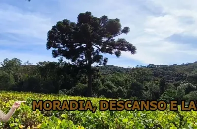 Chácara / sítio à venda na Estrada Do Felpudo, Guabiroba, Campo Largo