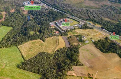 Terreno comercial à venda na Rodovia BR-376, Ouro Fino, São José dos Pinhais