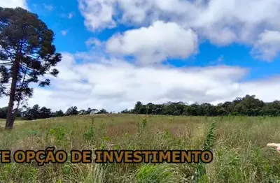 Chácara / sítio à venda na Rodovia José Taverna, Cacaiguera, Campina Grande do Sul