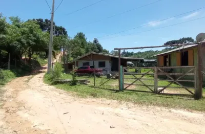 Chácara / sítio com 4 quartos à venda na Rua Antônio Selusniak, Areia Branca dos Assis, Mandirituba