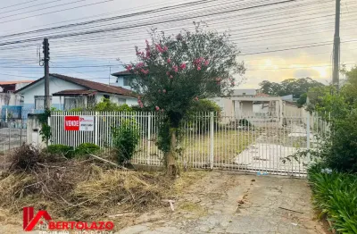 Terreno amplo em ótima localização - alto boqueirão