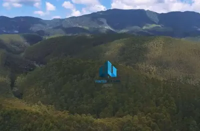 Fazenda de eucalipto para extração de madeira, 600 hectares por r$ 16.000.000 - lima duarte/mg
