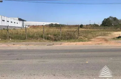 Terreno à venda, 10000 m² por r$ 5.500.000,00 - eucaliptos - fazenda rio grande/pr