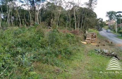 Terreno a venda em santa felicidade, 856 m², rua emílio alexandrino da silva