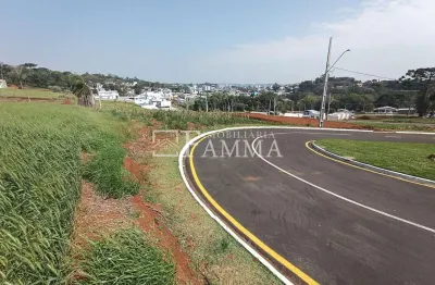 Lotes localizados no bairro cadorin, região nobre de pato branco - pr