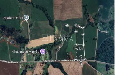 Chácara / sítio à venda na Estrada Passo Da Ilha, Zona Rural, Pato Branco