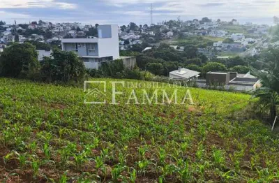 Terreno à venda, próximo ao Shopping, Bairro SÃO LUIZ, PATO BRANCO - PR