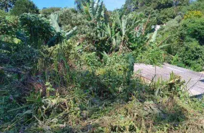 Terreno à venda, 1000 m² por r$ 115.000,00 - chácara califórnia - embu-guaçu/sp