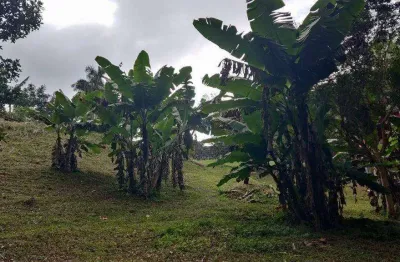 Chácara com 3 dormitórios à venda, 6300 m² por r$ 650.000,00 - mombaça - itapecerica da serra/sp