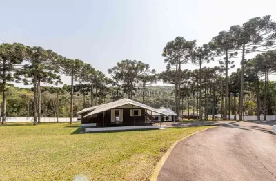 Chácara / sítio à venda na rua paulo torques, 177, santa gema, colombo, 11734 m2 por r$ 1.299.900