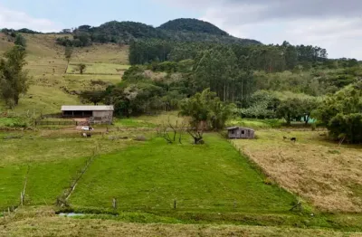 Chácara / sítio à venda na linha cangatalo, 02, zona rural, maquiné por r$ 280.000