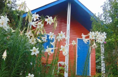 Chácara / sítio com 10 quartos à venda na rua barra do ouro, 3, barra do ouro, maquiné por r$ 559.000