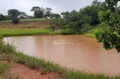 Sítio com 1 dormitório à venda, 694703 m² por r$ 3.000.000,00 - zona rural - campina verde/mg