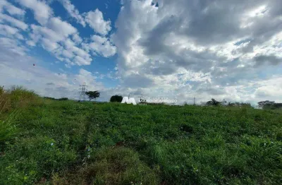 Sítio com 1 dormitório à venda, 81300 m² por r$ 2.625.000,00 - rural - olímpia/sp