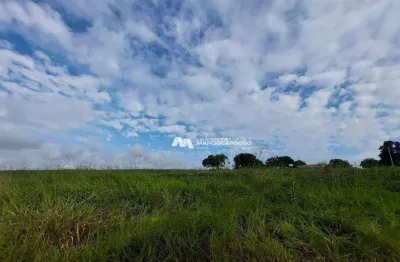 Sítio com 5 dormitórios à venda, 2 m² por r$ 3.000.000,00 - rural - olímpia/sp