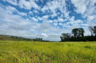 Sítio com 1 dormitório à venda, 101156 m² por r$ 3.500.000,00 - rural - olímpia/sp