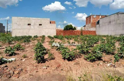 Terreno à venda, 200 m² por r$ 60.000,00 - portal do cedro - cedral/sp