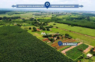 Área à venda, 22800 m² por r$ 1.000.000,00 - zona rural - bady bassitt/sp