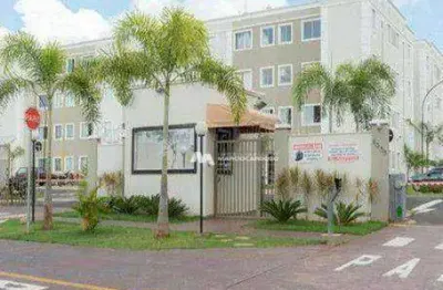 Apartamento com 2 dormitórios à venda, 47 m² por r$ 190.000,00 - parque das flores ii - são josé do rio preto/sp