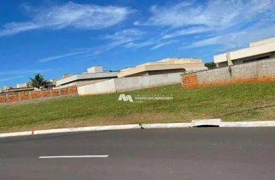 Terreno à venda, 855 m² por r$ 730.000,00 - recanto do lago - são josé do rio preto/sp