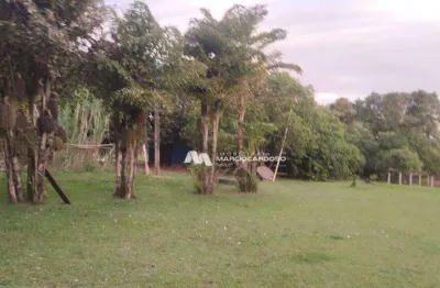 Terreno à venda, 1272 m² por r$ 220.000,00 - chácaras de recreio felicidade (zona rural) - são josé do rio preto/sp